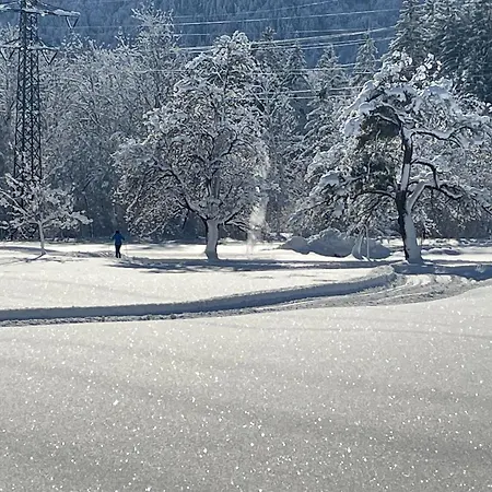 Rosis Apartment Vandans