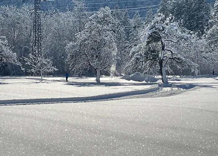 Rosis Διαμέρισμα Vandans